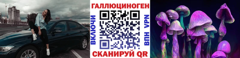 Галлюциногенные грибы Psilocybine cubensis  Бирюсинск 